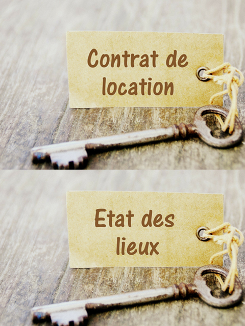 Rédaction de bail locatif